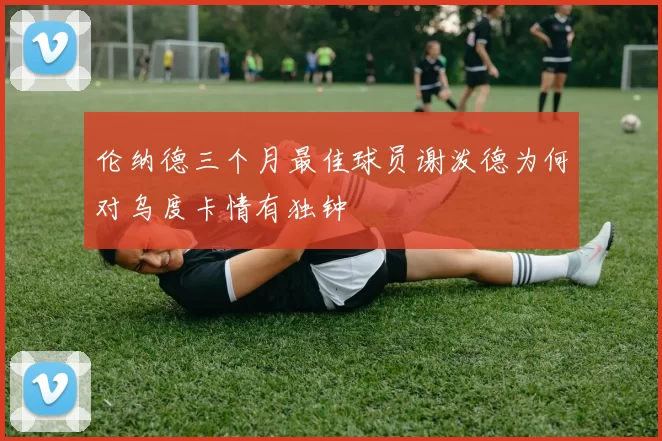 伦纳德三个月最佳球员谢泼德为何对乌度卡情有独钟