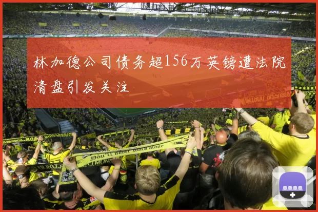 林加德公司债务超156万英镑遭法院清盘引发关注