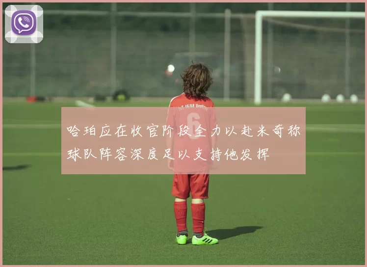 哈珀应在收官阶段全力以赴米奇称球队阵容深度足以支持他发挥