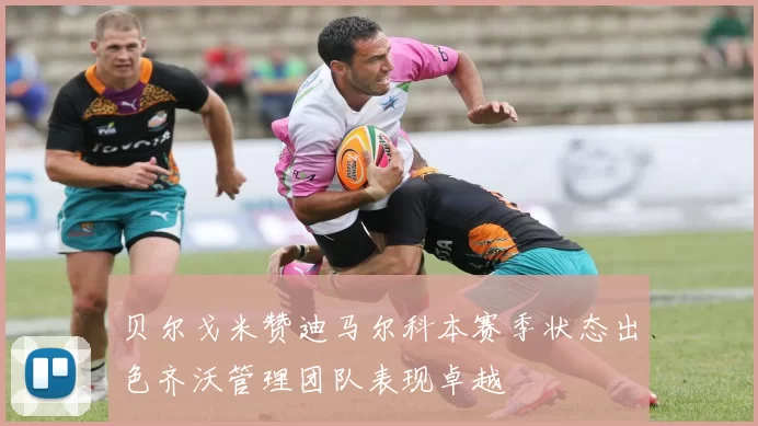 贝尔戈米赞迪马尔科本赛季状态出色齐沃管理团队表现卓越